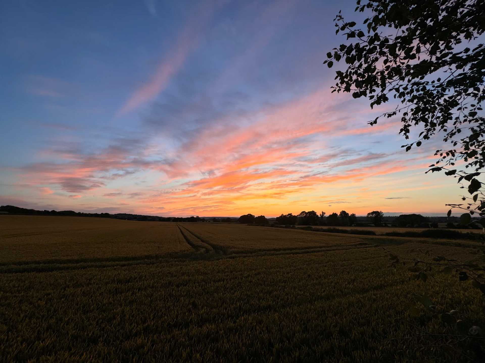 Countryside